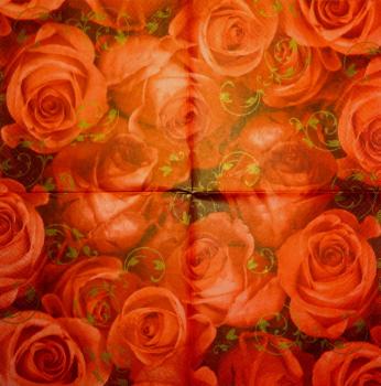 777 Roses - 3-ply (3151) - ppd - Andrea Tilk
